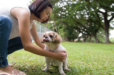Shih Tze köpeği ile Asya genç bayan