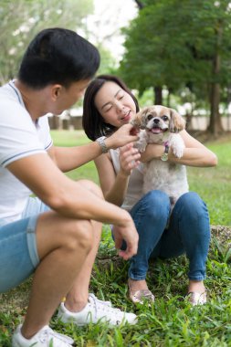 Shih tzu köpek ile Asya güzel çift