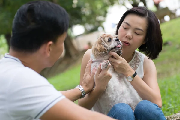 Asian lovely couple with shih tzu dog — Stock Photo, Image