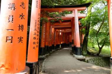 Torii kapılarında Fushimi Inari tapınak Kyoto, Japonya.
