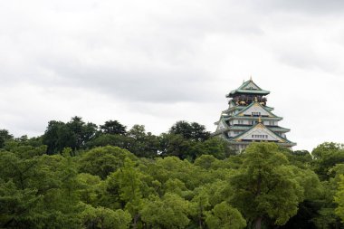 Osaka Kalesi Japonya