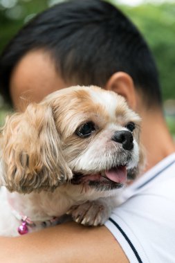 Asya genç adam Shih Tze köpeğiyle