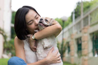 Shih Tze köpeği ile Asya genç bayan