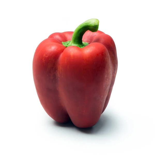 Red pepper bell or paprika — Stock Photo, Image