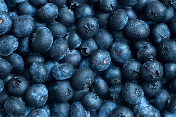 Fresh blueberries background with mist — Stock Photo, Image