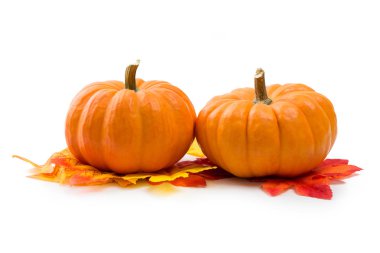 Taze turuncu minyatür kabaklar izole