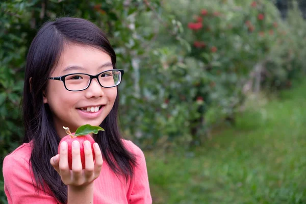 Pequeña niña asiática sostiene una manzana roja en el huerto — Foto de Stock