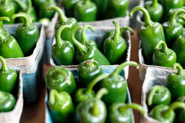 Green jalapeno pepper in basket — Stock Photo, Image