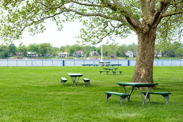 Wooden picnic table in scenic park with trees and lake