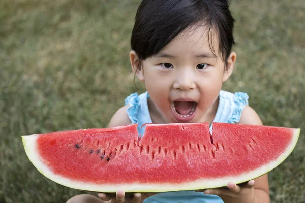 Lycklig liten flicka med vattenmelon i en trädgård — Stockfoto