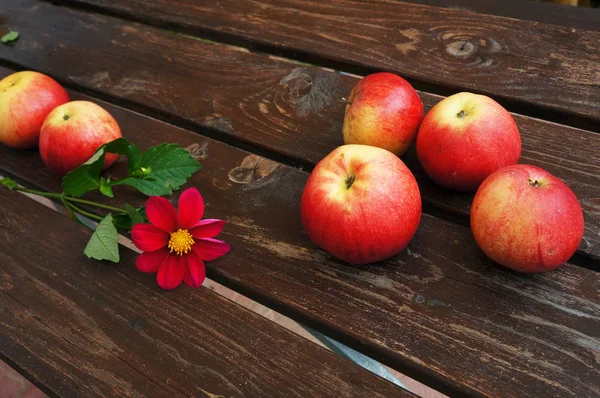 Röda Äpplen Och Blomma Brun Brädor — Stockfoto