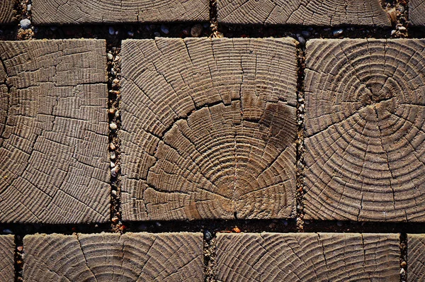 Wooden Cross Section Texture Pavement Blocks Natural Brown Background — Stock Photo, Image