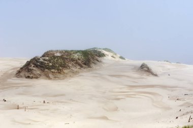 Kumlu çöl. Kum tepelerine Slowinski Milli Parkı Leba, Polonya.