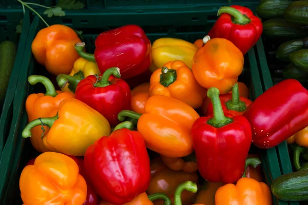 Sweet Bell Red Peppers Vegetable Market — Stock Photo, Image