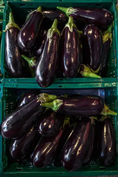 Eggplante eller eggplante på markedet . – stockfoto