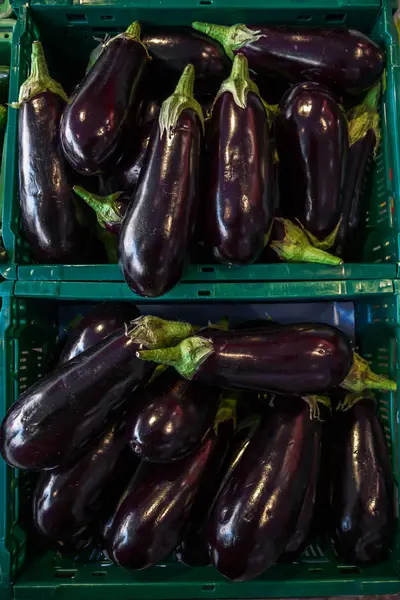 Auberginen oder Auberginen auf dem Markt. — Stockfoto