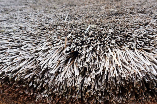 Vechi Acoperiş Învelit Fundal Natural Paie Gri Maro Texturat — Fotografie, imagine de stoc