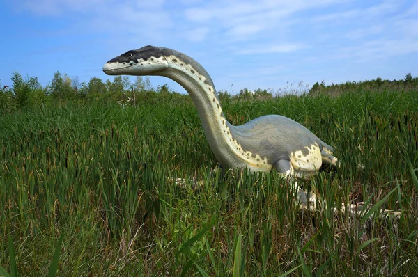 Leba, Polônia - 05 de julho de 2012: Modelo de dinossauro Cryptoclidus . — Fotografia de Stock