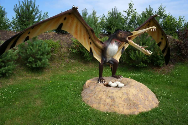 Leba, Poland - July 05, 2012: Model of pterodactyl Cearadactylus. — Stock Photo, Image