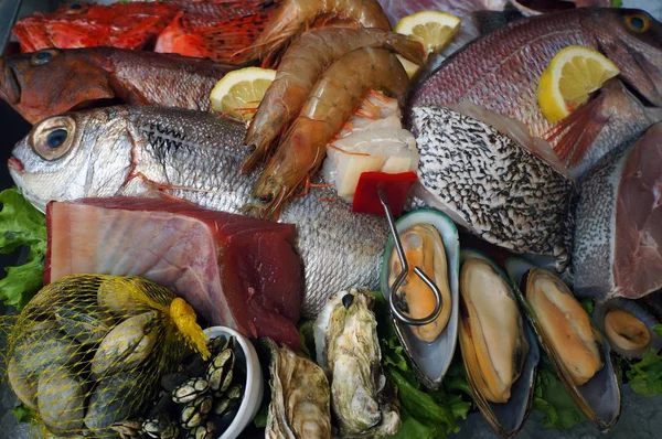 Seafoods. Fresh saltwater fish, mussels, crayfishes. — Stock Photo, Image