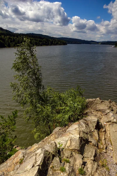 Lipno See Tschechien Birke Auf Felsen Und Wolke Über Dem — Stockfoto