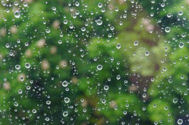 Yeşil yaz arka planında pencere camında yağmur damlaları..                           