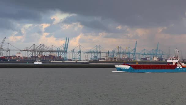 Πλοίο που μεταφέρει εμπορευματοκιβώτια μέσω rotterdam — Αρχείο Βίντεο