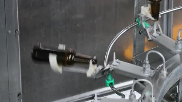 Flaschenwaschen in der Bierfabrik — Stockvideo