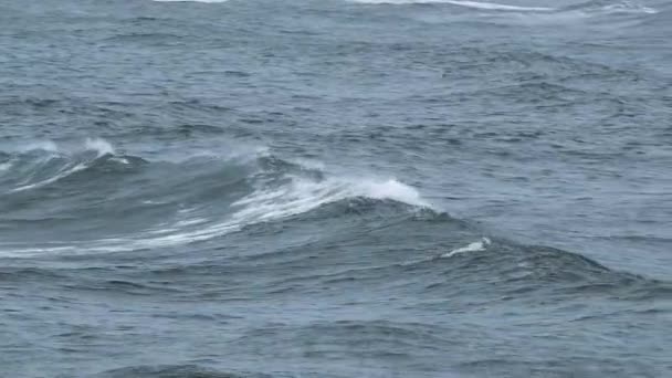 Oceánské vlny praskají — Stock video