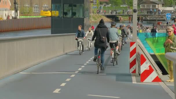 Paardrijden een fietsen in Kopenhagen — Stockvideo
