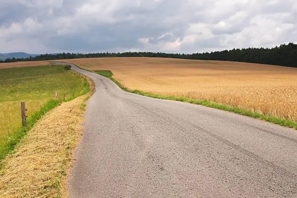 Weg door landbouwgrond — Stockfoto