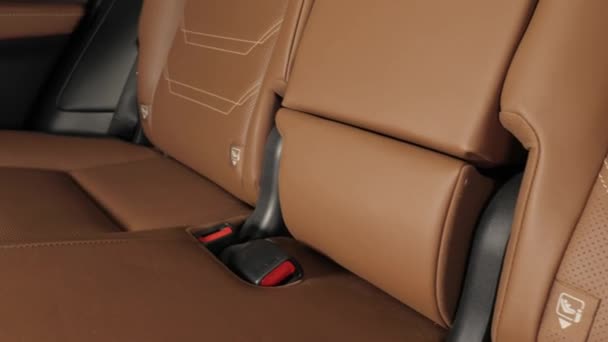 Auto interieur Backseats — Stockvideo