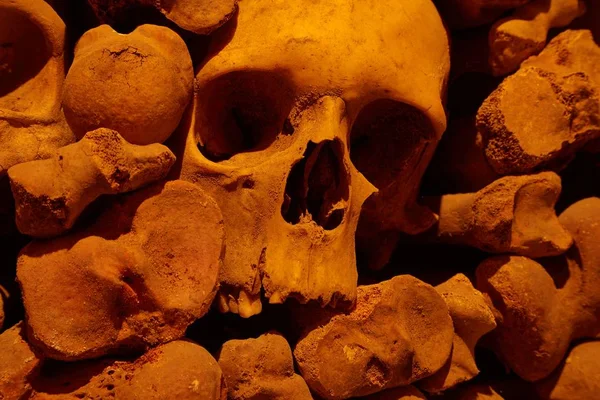 Crânios e ossos em uma parede — Fotografia de Stock