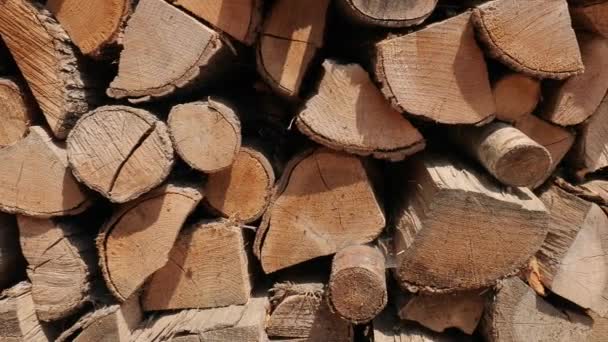 Vuur hout stapel — Stockvideo