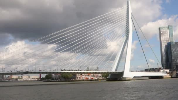 Rotterdam su — Stok video