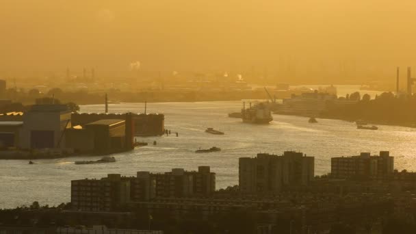 Drukke waterwegen van Rotterdam — Stockvideo