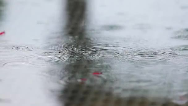 Llueve sobre una mesa de parque — Vídeo de stock