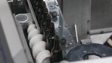 Bira fabrikası şişe hattı