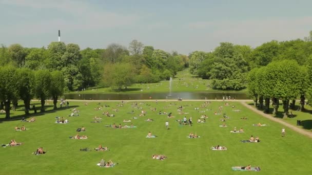 People in the park — Stock Video