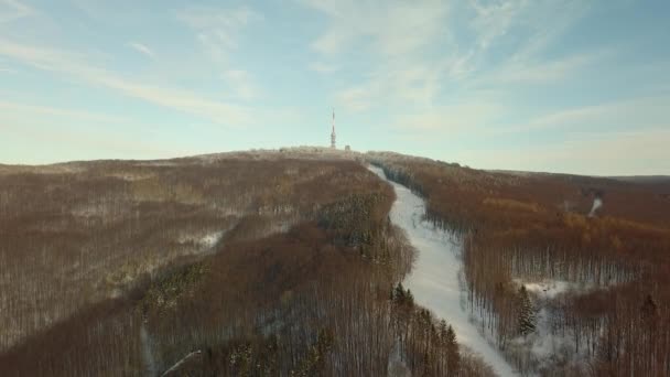 Piste de ski de montagne enneigée — Video