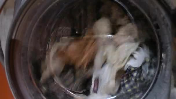 Вращение стиральной машины — стоковое видео