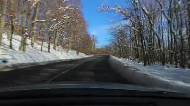 Köra bil, snöiga landskap — Stockvideo