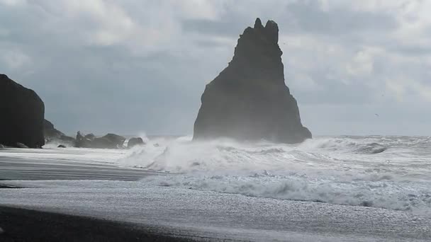 Litoral Islandês Épico — Vídeo de Stock