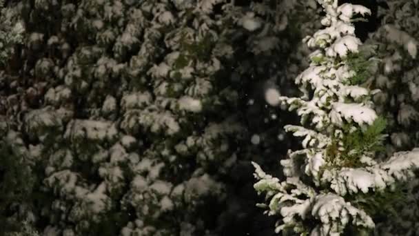 Nieve cayendo por la noche — Vídeos de Stock