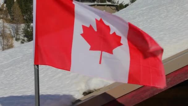 Bandera canadiense ondeando — Vídeo de stock