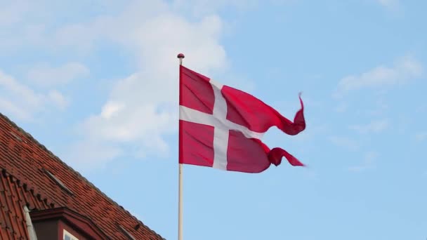 Bandera danesa ondeando — Vídeo de stock