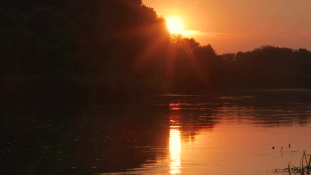 Zonsondergang boven een rivier — Stockvideo