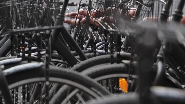Bicycles close up — Stock Video