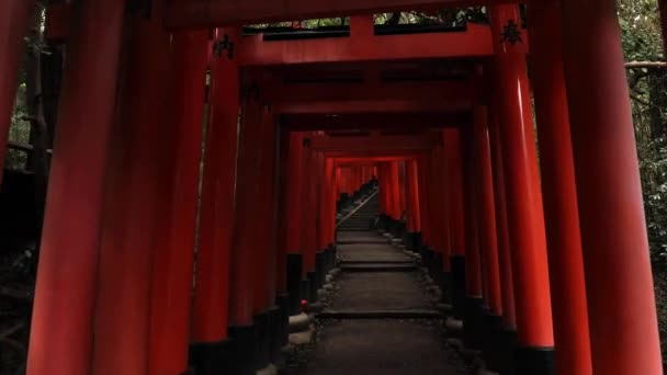 Fushimi Inari Taisha torii puertas — Vídeo de stock