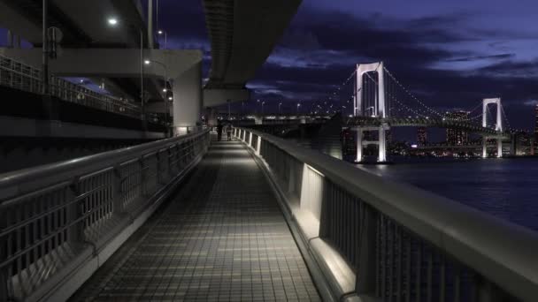 Tokyo baai regenboog brug — Stockvideo